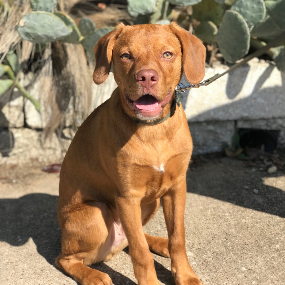 Meet your Posher, Maggie